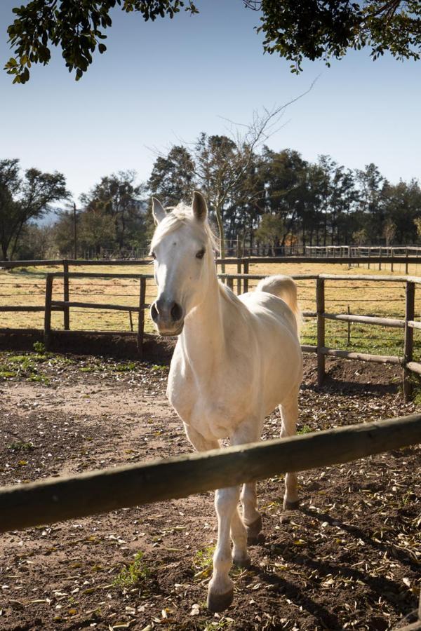 Aasvoelkrans Guest Farm Bed and Breakfast Montagu Esterno foto