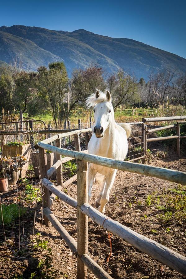 Aasvoelkrans Guest Farm Bed and Breakfast Montagu Esterno foto